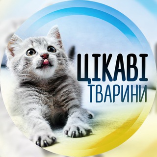 Логотип телеграм спільноти - Цікаві тварини ☃️