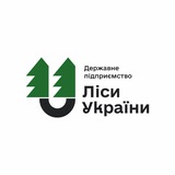 Логотип телеграм спільноти - ЛІСИ УКРАЇНИ - офіційний канал