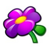 Логотип телеграм спільноти - Фіалки 🌺 - квіти щастя!