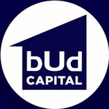 Логотип телеграм спільноти - Budcapital